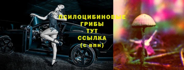 спайс Горняк