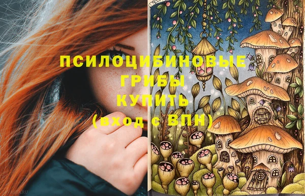 дживик Горнозаводск