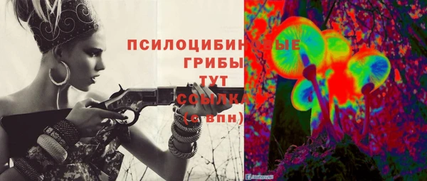 молекула духа Вязьма