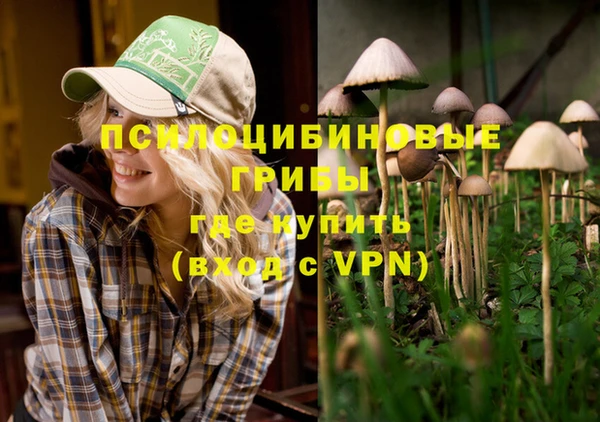 спайс Горняк
