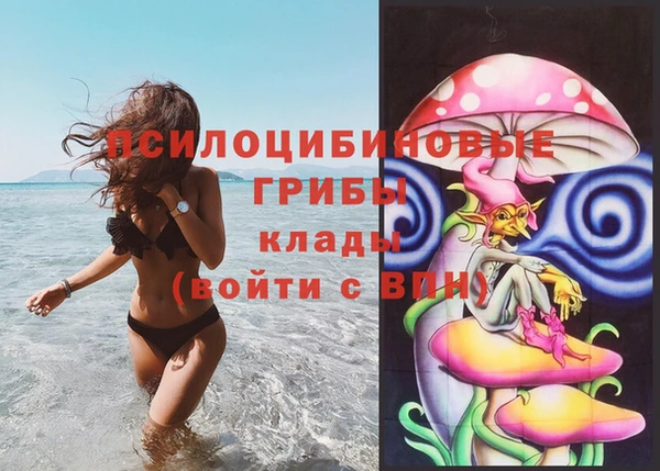 дживик Горнозаводск
