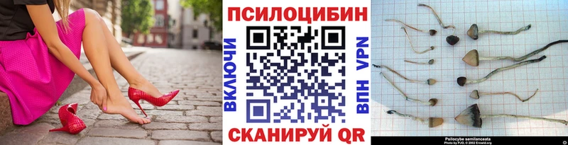 Псилоцибиновые грибы Magic Shrooms  Омутнинск 